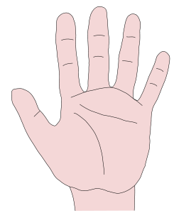 [una mano]
