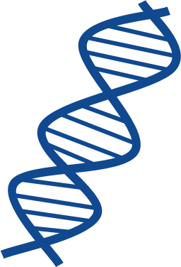 [l'elica del DNA]