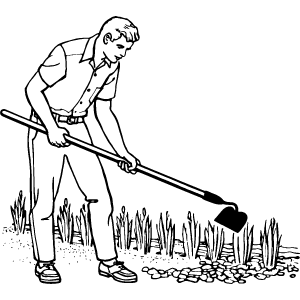 [orticulura]